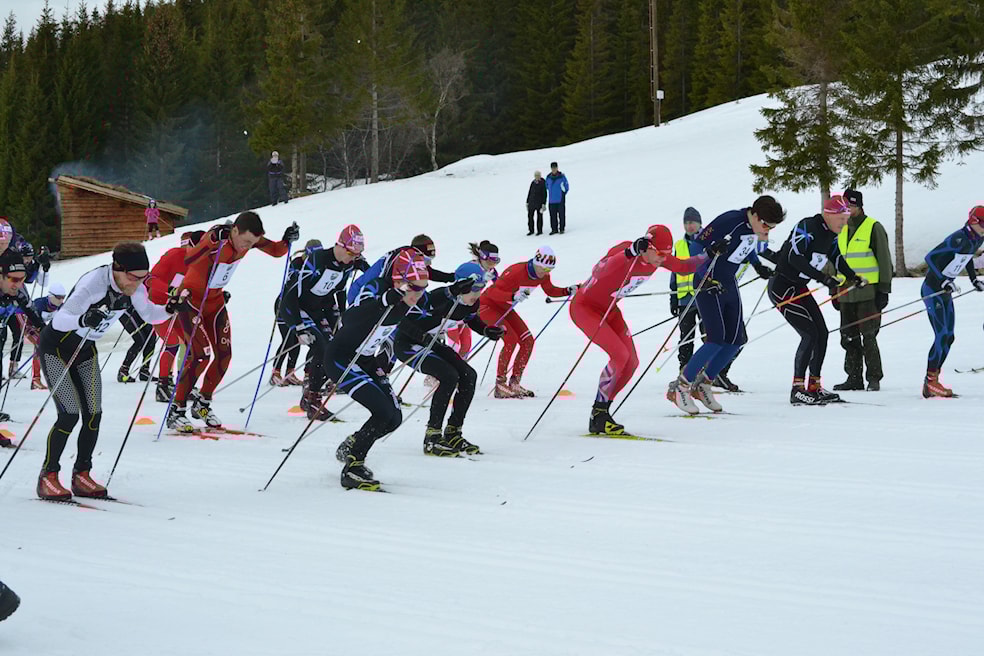 Kvæfjordmarka rundt 2017